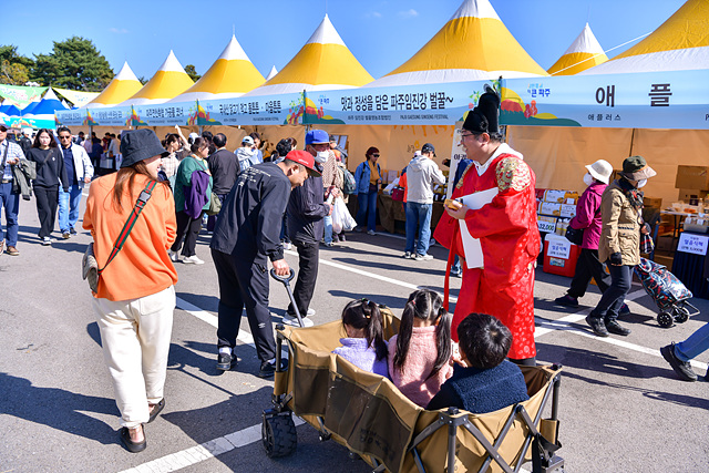 2024년 제19회 파주개성인삼축제 축제 사진(체험행사) 썸네일