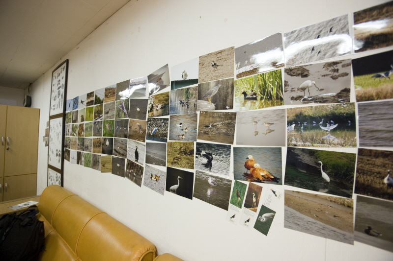 DMZ 생태연구소 2