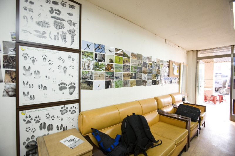 DMZ 생태연구소 4