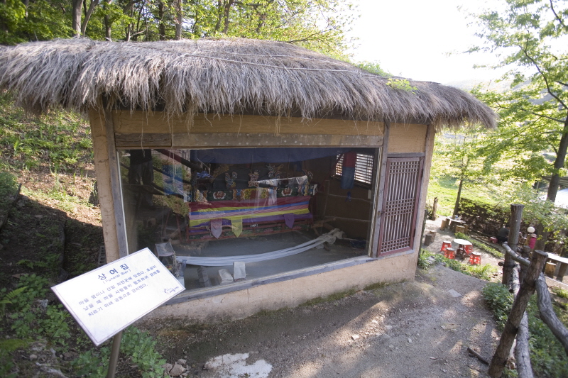 두루뫼박무과 3