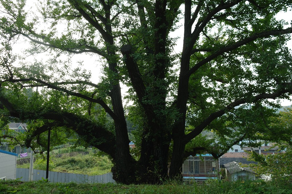 경기-파주-09 썸네일