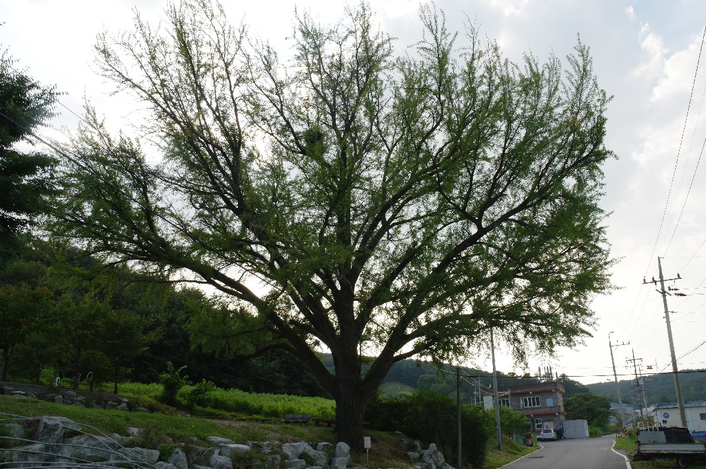 경기-파주-10 썸네일