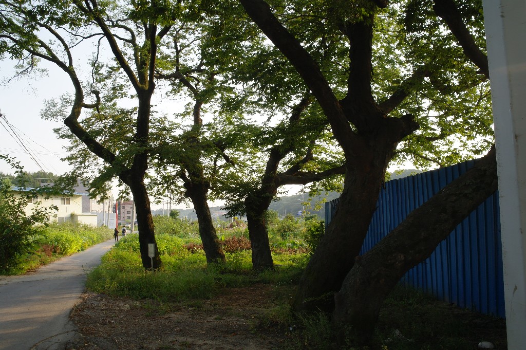 경기-파주-16 썸네일