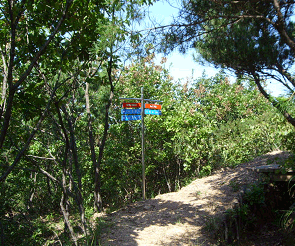 제목4