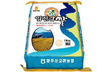 파주 임진강쌀