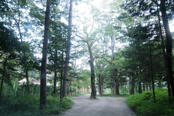 초리골 산행1