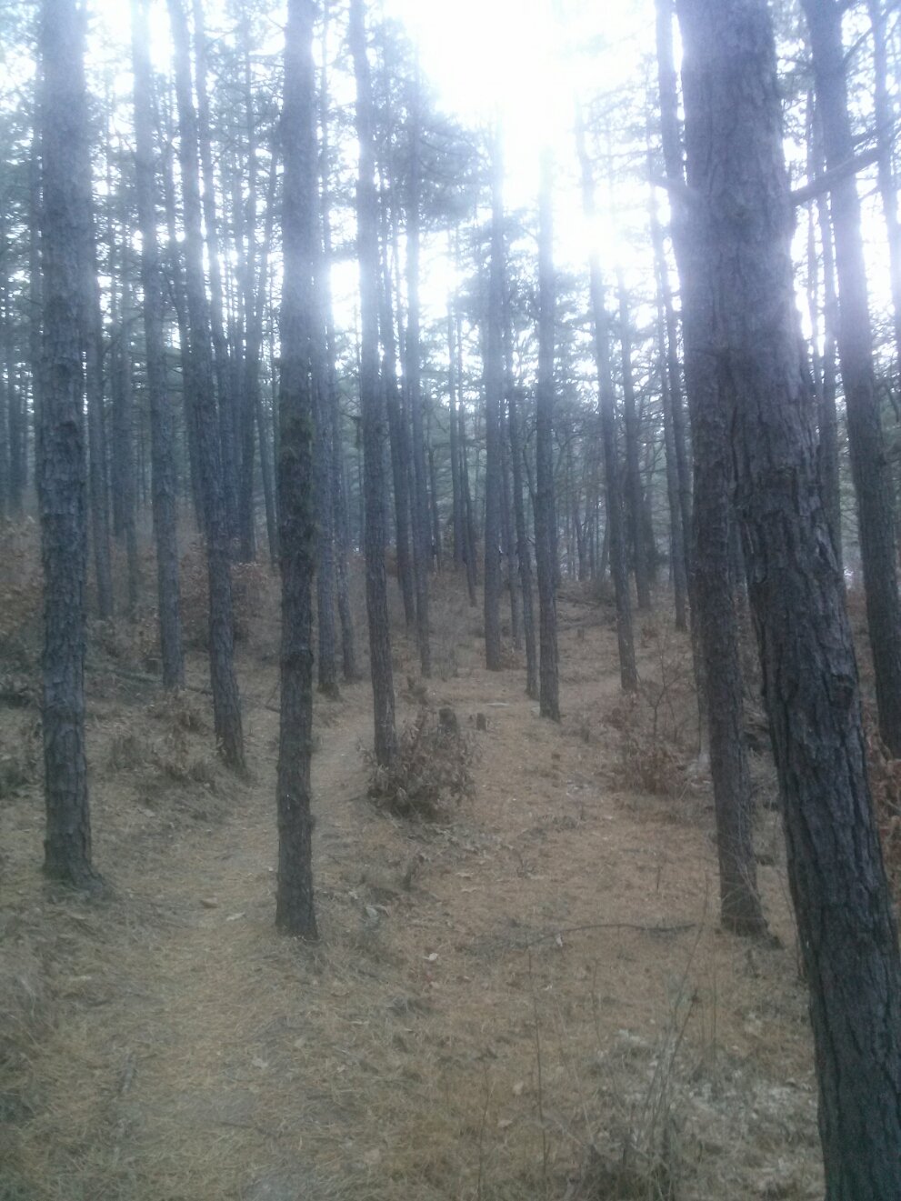 초리골 산행2