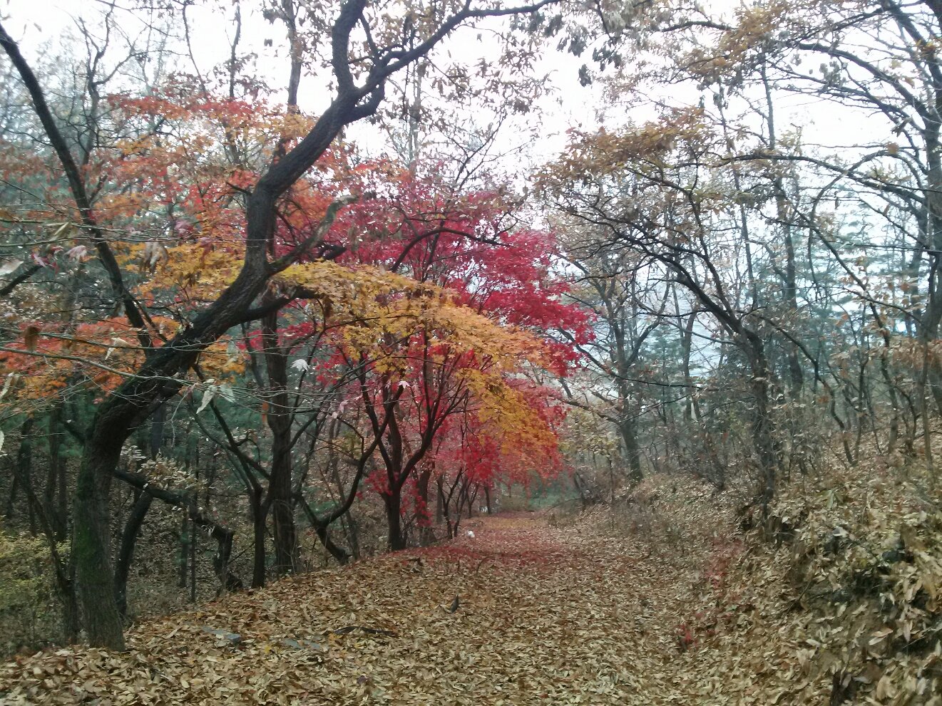 초리골 산행3