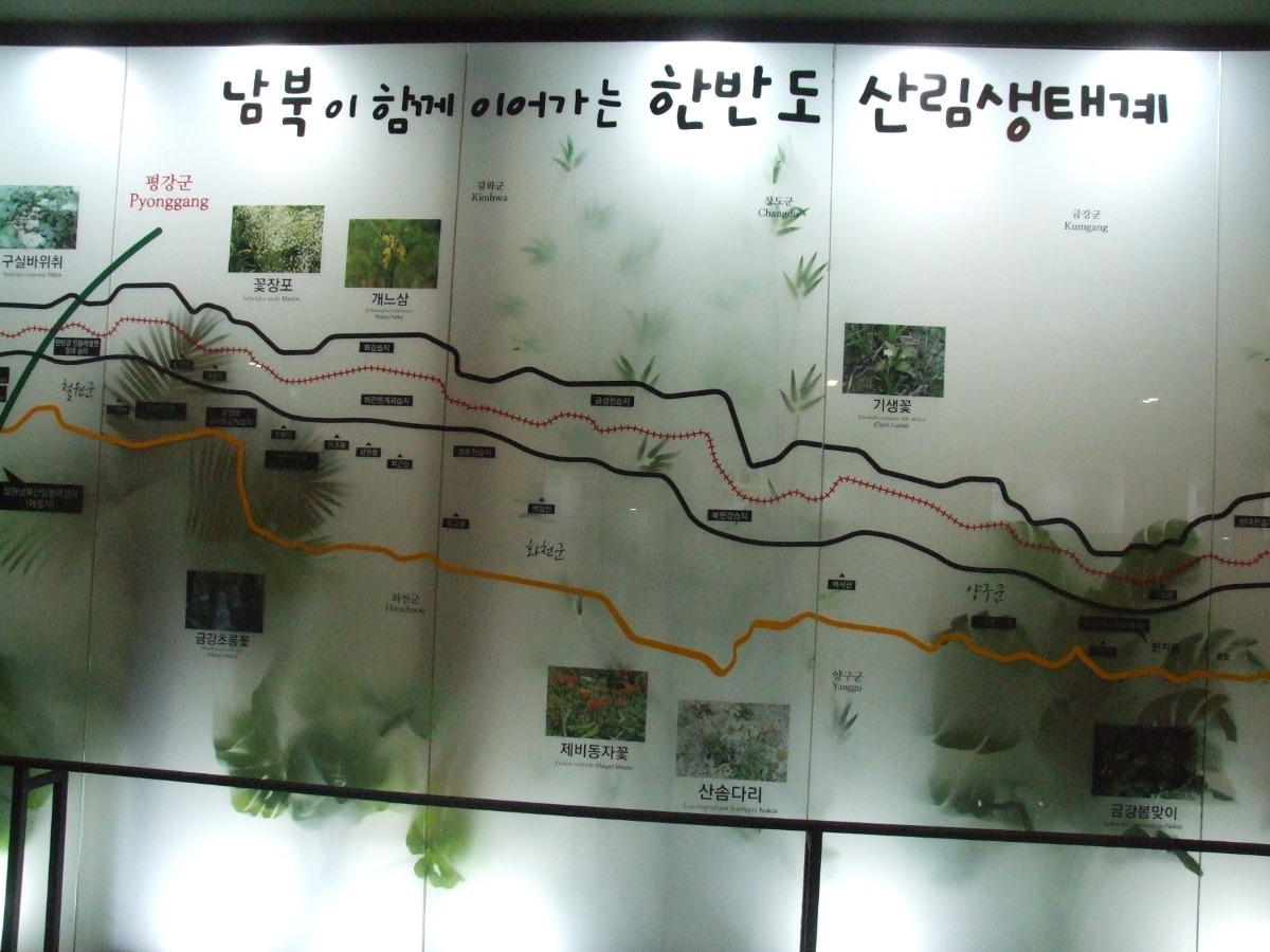 남북산림협력센터 작은 전시관 내부 모습