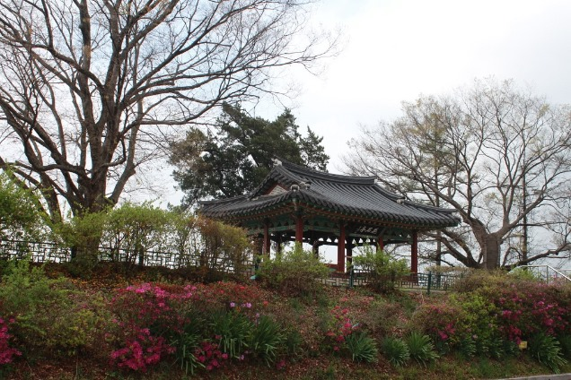 화석정과 보호수들