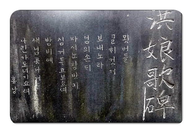 홍랑가비