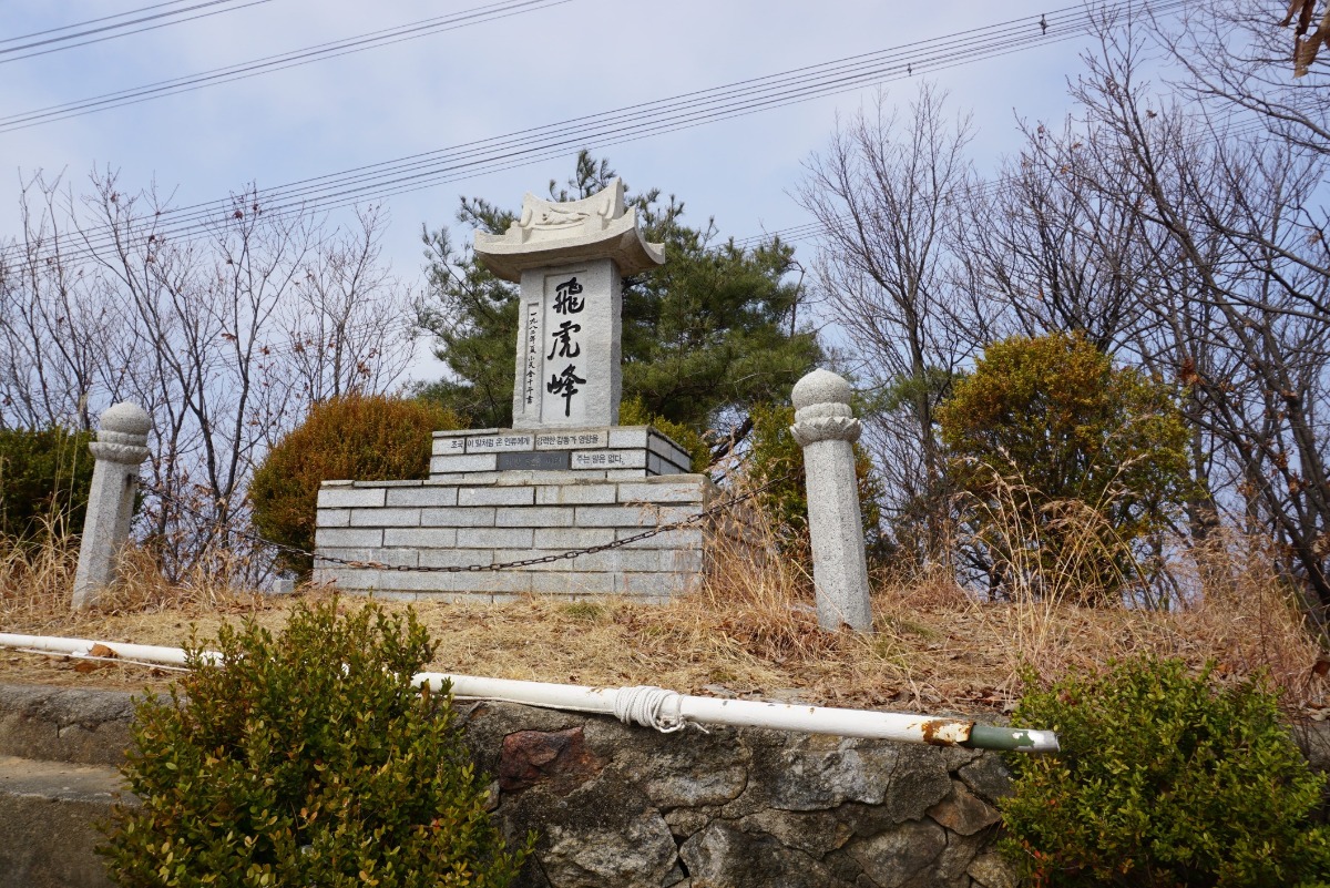 비호봉