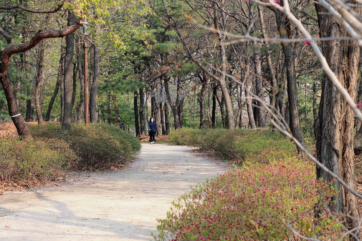 중앙공원 산책로
