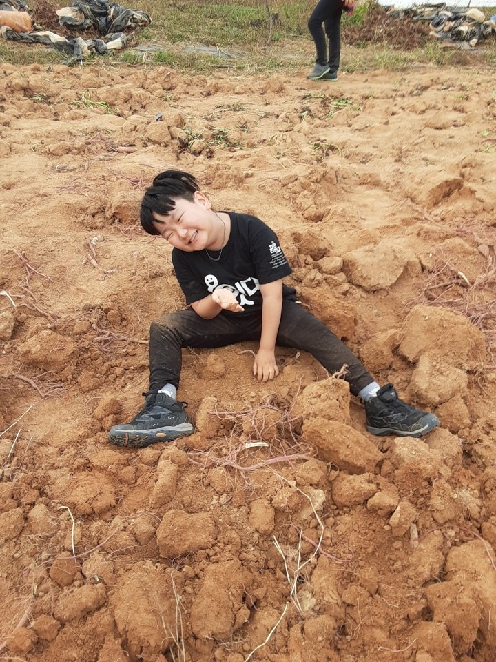 놀.잇다 수업_고구마캐기
