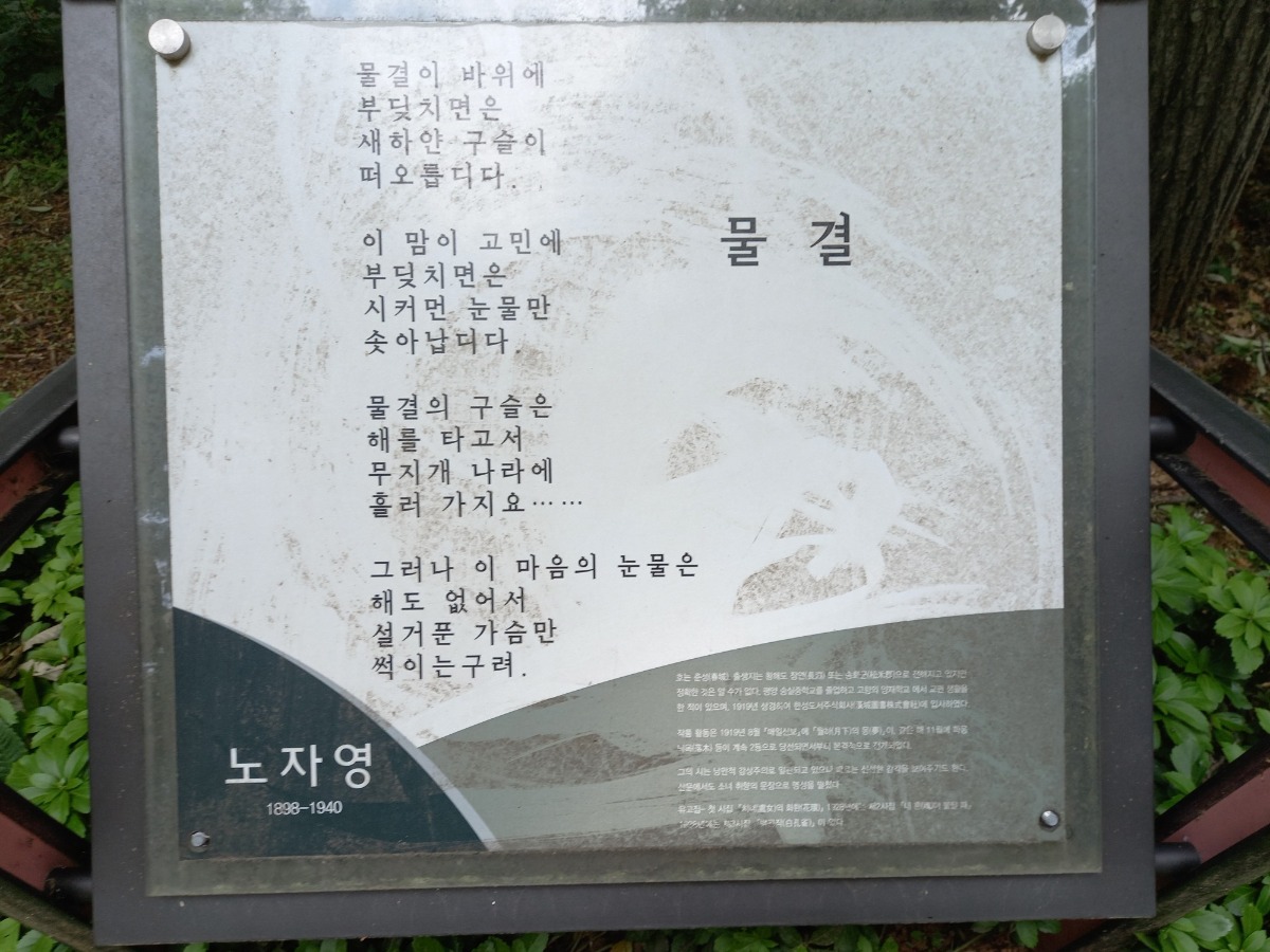 노자영의 물결